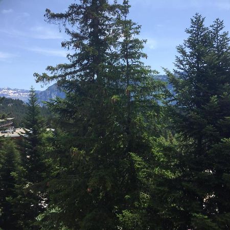 Logement Avec Terrasse, Superbe Vue Et Parking Apartment Chamrousse Exterior photo